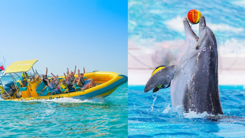 99 Minutes Premium Boat Tour + Free Dolphin & Seal Show - Combo - Combos and more adventures 99 Minutes Premium Boat Tour + Free Dolphin & Seal Show - Combo - Combos and more adventures OmanMegaDeals.com