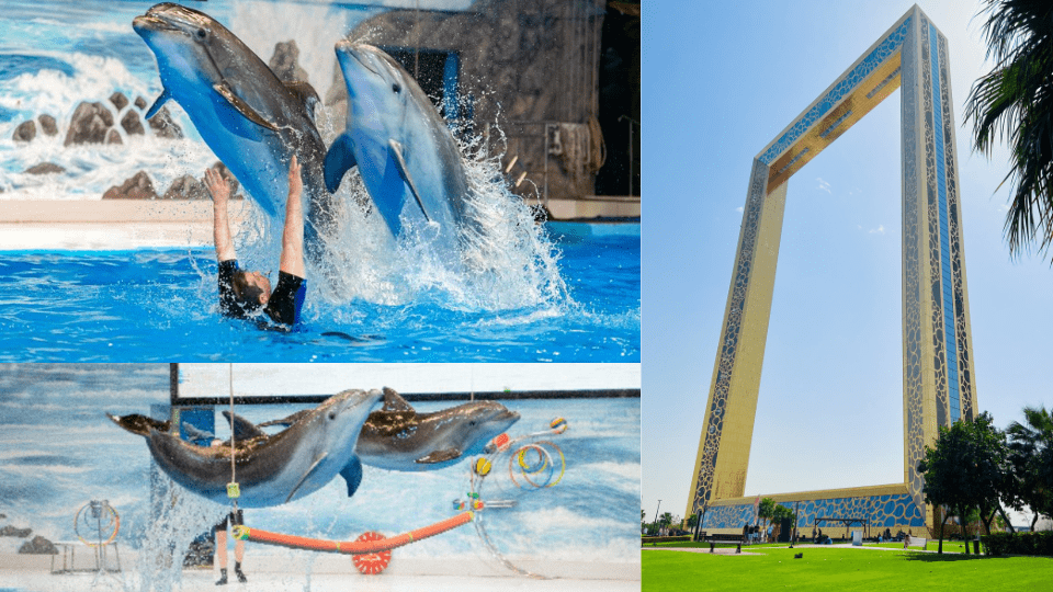 Dubai Frame + Dolphin & Seal Show - Dubai Dolphinarium - Combo - Must-see attractions Dubai Frame + Dolphin & Seal Show - Dubai Dolphinarium - Combo - Must-see attractions OmanMegaDeals.com