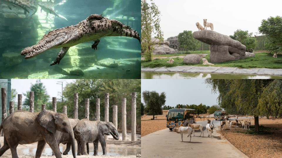 Dubai Safari Park + Dubai Crocodile Park - Combo - Must-see attractions Dubai Safari Park + Dubai Crocodile Park - Combo - Must-see attractions OmanMegaDeals.com