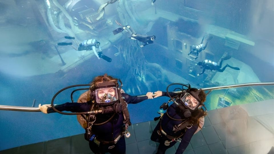 Deep Dive Dubai - Sunken City Walk - Top-Rated Attractions Deep Dive Dubai - Sunken City Walk - Top-Rated Attractions OmanMegaDeals.com