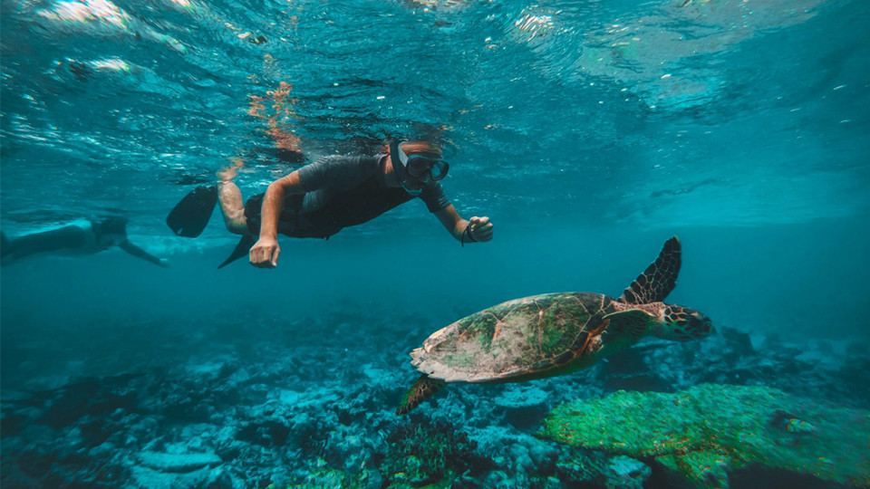 Dive & Snorkel Trips in Fujairah - Water Sports Dive & Snorkel Trips in Fujairah - Water Sports OmanMegaDeals.com