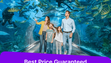 dubai aquarium – Experiences