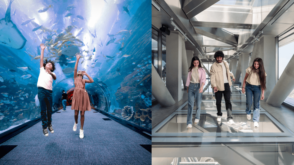 Dubai Aquarium + Sky Views with Slide - Combo - Recently Added Experiences Dubai Aquarium + Sky Views with Slide - Combo - Recently Added Experiences OmanMegaDeals.com
