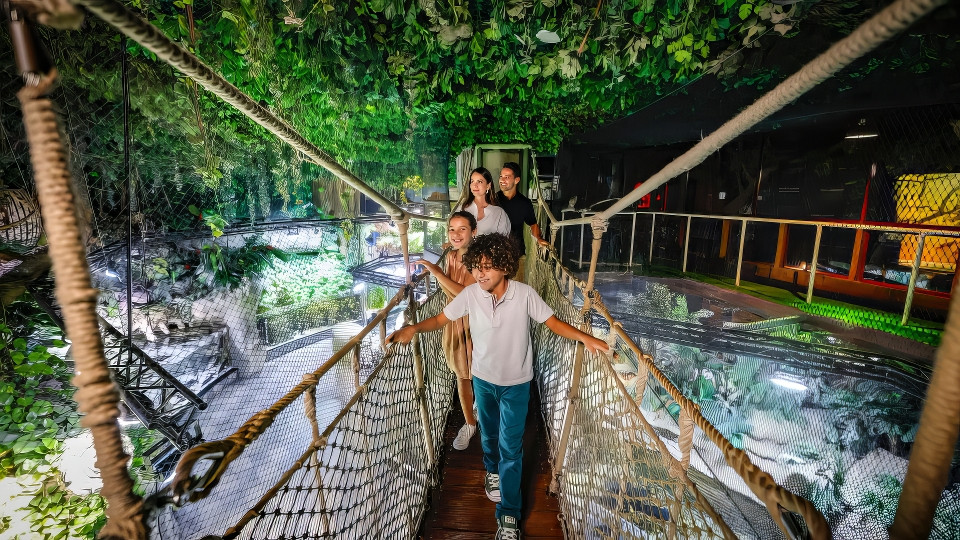 dubai aquarium - Experiences dubai aquarium - Experiences OmanMegaDeals.com