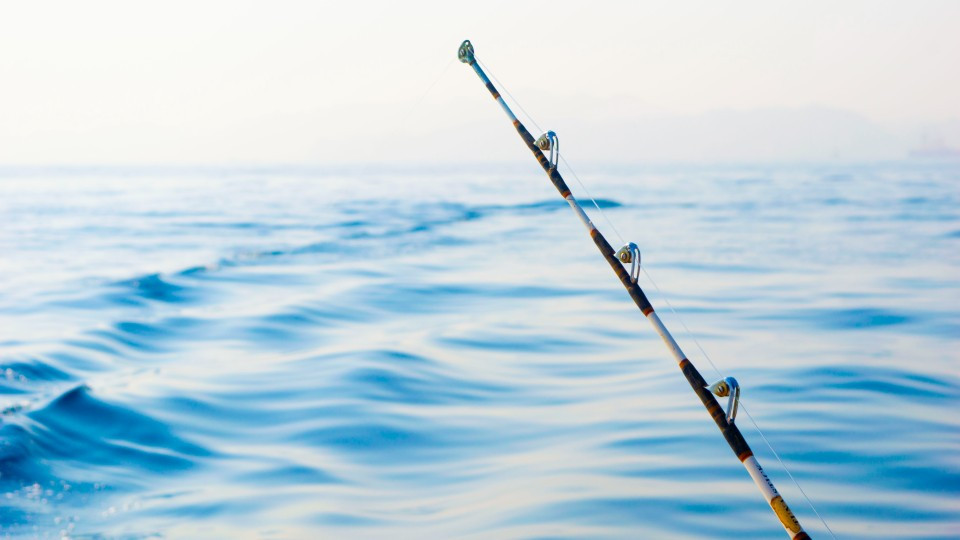 Private fishing boat tour - Sightseeing and Tours Private fishing boat tour - Sightseeing and Tours OmanMegaDeals.com
