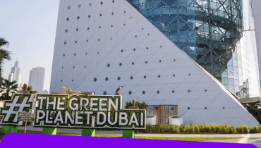 green planet – Experiences