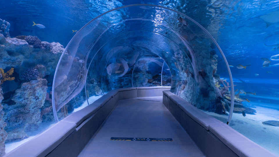 Istanbul Emaar Aquarium - Experiences Istanbul Emaar Aquarium - Experiences OmanMegaDeals.com