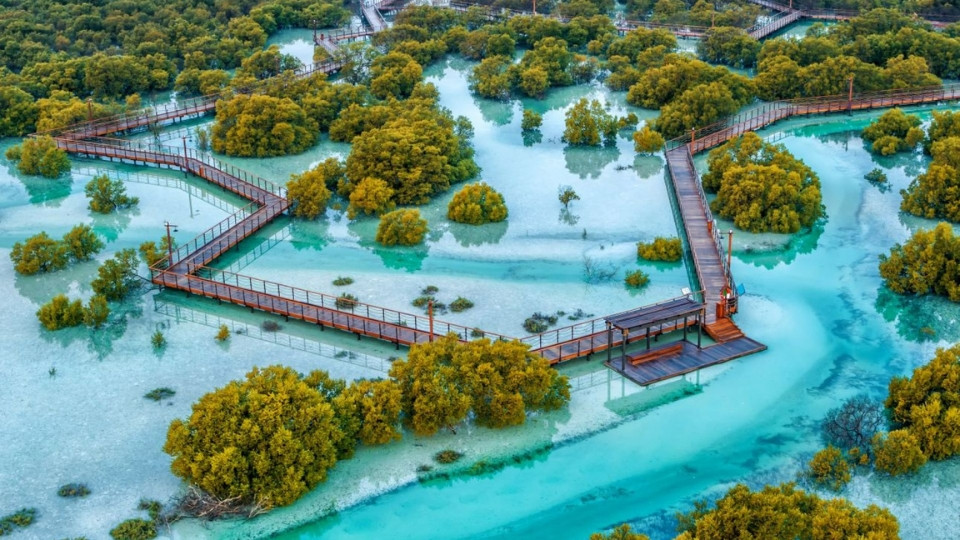 Jubail Mangrove Park - Boardwalk Experience - Recently Added Experiences Jubail Mangrove Park - Boardwalk Experience - Recently Added Experiences OmanMegaDeals.com