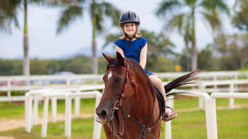 Pony Ride at Al Forsan - Experiences Pony Ride at Al Forsan - Experiences OmanMegaDeals.com