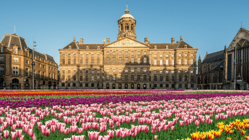 Royal Palace Amsterdam (Koninklijk Paleis): Entry Ticket - Recently Added Experiences Royal Palace Amsterdam (Koninklijk Paleis): Entry Ticket - Recently Added Experiences OmanMegaDeals.com