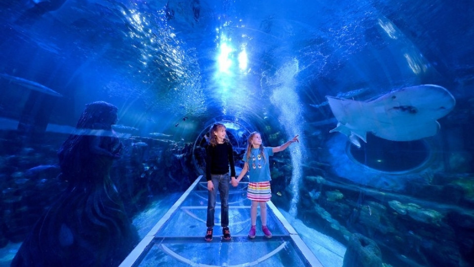 SEA LIFE Birmingham - Indoor Attractions SEA LIFE Birmingham - Indoor Attractions OmanMegaDeals.com