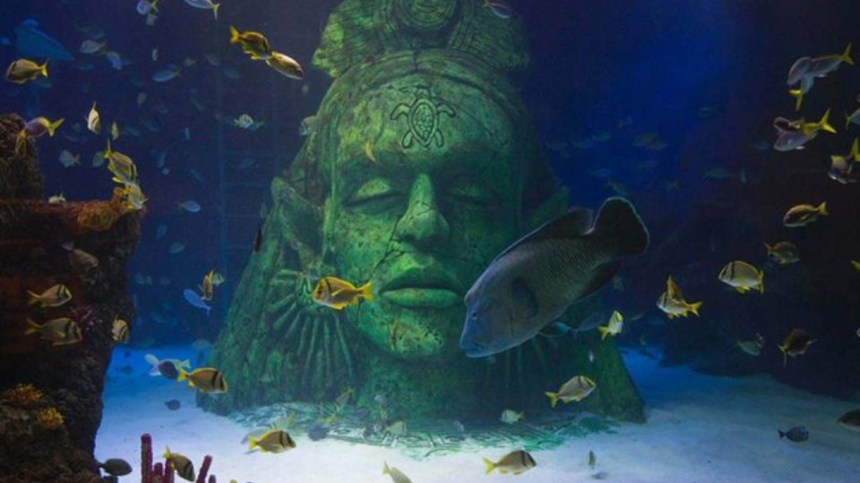 SEA LIFE Manchester Entry Ticket - Top-Rated Attractions SEA LIFE Manchester Entry Ticket - Top-Rated Attractions OmanMegaDeals.com