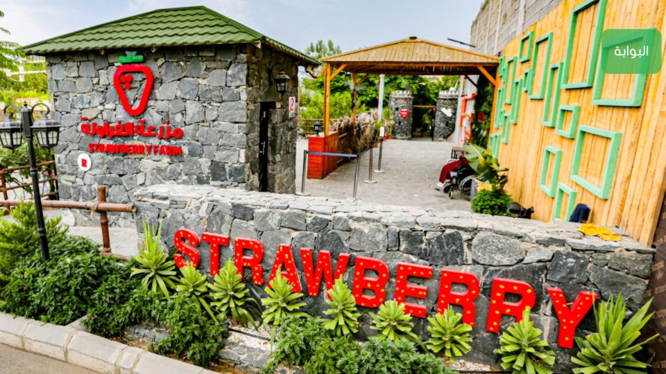Strawberry Farm - Top-Rated Attractions Strawberry Farm - Top-Rated Attractions OmanMegaDeals.com