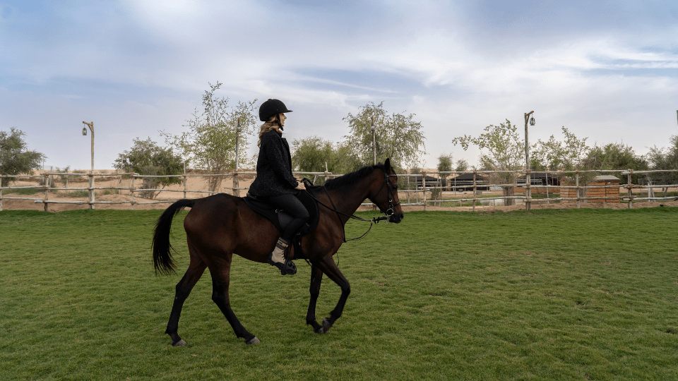 Sunset Horse Riding at Al Marmoom Oasis with a 6-Course Bedouin Dinner - Outdoor Attractions Sunset Horse Riding at Al Marmoom Oasis with a 6-Course Bedouin Dinner - Outdoor Attractions OmanMegaDeals.com