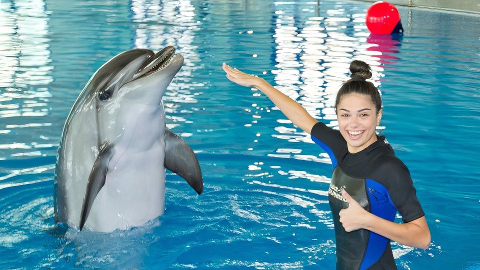 Swimming With Dolphins - Dubai Dolphinarium - Dubai Dolphinarium Swimming With Dolphins - Dubai Dolphinarium - Dubai Dolphinarium OmanMegaDeals.com