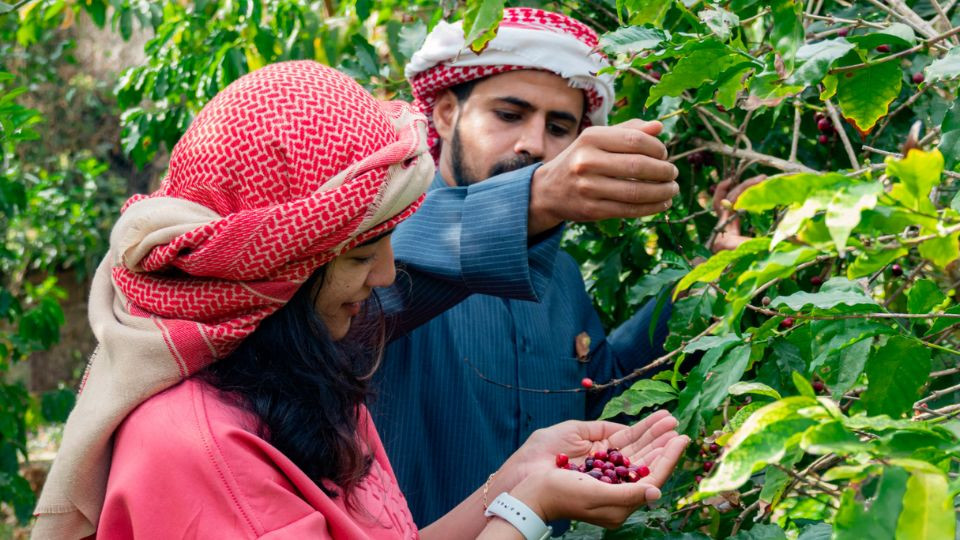 Hike with a local coffee farmer - Recently Added Experiences Hike with a local coffee farmer - Recently Added Experiences OmanMegaDeals.com
