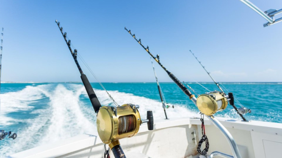 Trolling in Ocean for Big Fish - Top-Rated Attractions Trolling in Ocean for Big Fish - Top-Rated Attractions OmanMegaDeals.com