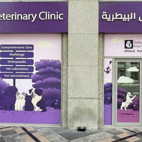 Basic Or Full Grooming For Small Or Medium Dog, Cat Or Large Dog PETS Shop Online at Special Price from Oman Mega Deals