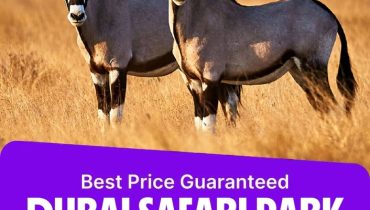 Dubai Safari Park – Experiences