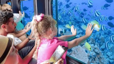 From El Gouna: Royal Seascope Submarine with Snorkel Stop – Recently Added Experiences