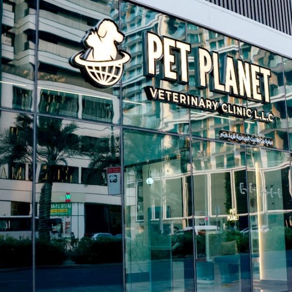 Full Grooming For Cat Or Small Dog, Medium Or Large Dog PETS Shop Online at Special Price from Oman Mega Deals