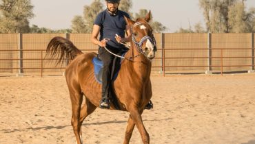 Horse Riding At Mleiha Arena – Sports Events