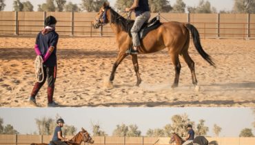 Horse Riding Training Course One Session – Sports Events