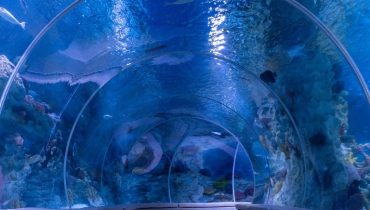 Istanbul Aquarium + Sky View + Sky Walk – Combo – Combos and more adventures