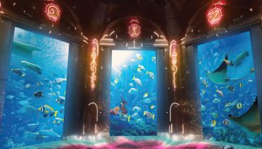Lost World Aquarium – As known as Lost Chambers Aquarium – Experiences