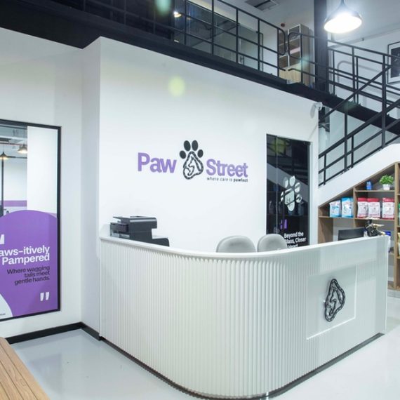 Professional Dog & Cat Grooming For All Sizes PETS Shop Online at Special Price from Oman Mega Deals