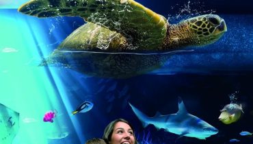 Sea Life Brighton – Experiences