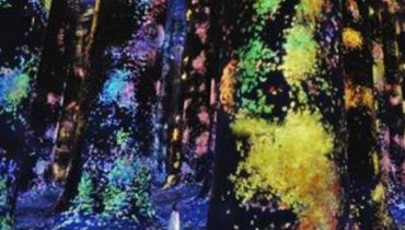 TeamLab Phenomena + Qasr Al Watan – Combo – Recently Added Experiences
