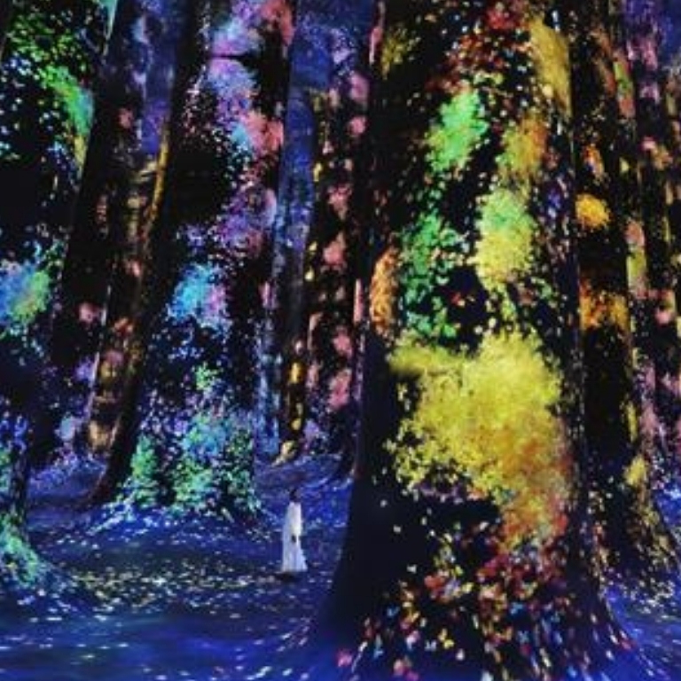 TeamLab Phenomena + Qasr Al Watan – Combo – Recently Added Experiences