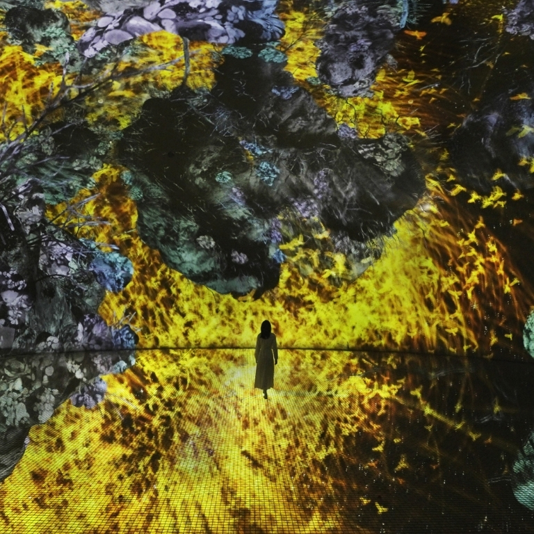 TeamLab Phenomena + Yas Waterworld – Combo – Recently Added Experiences
