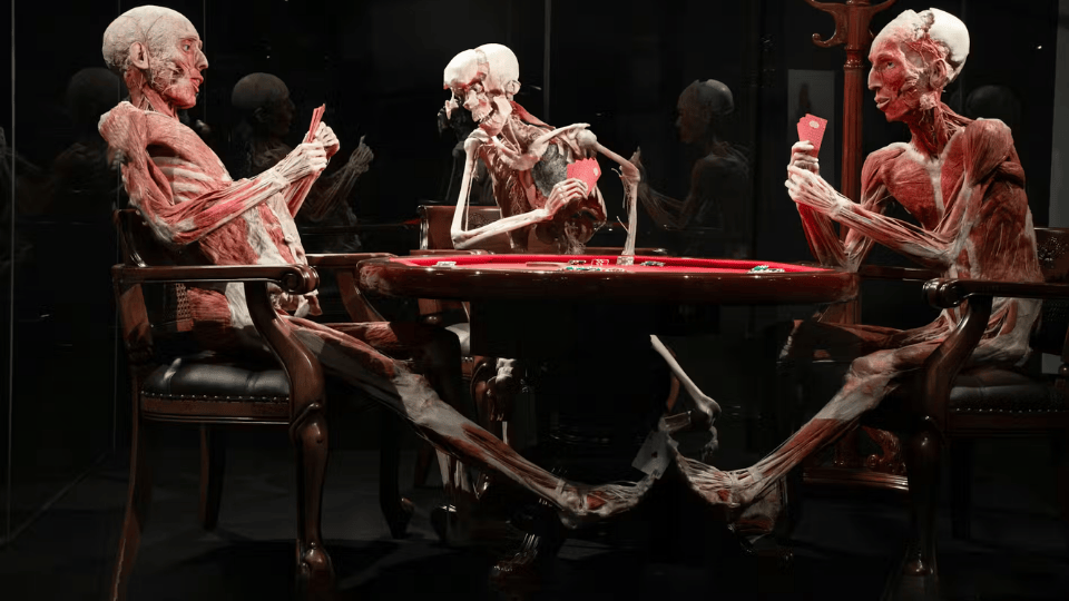 BODY WORLDS - The Happiness Project: Skip The Line Ticket - Recently Added Experiences BODY WORLDS - The Happiness Project: Skip The Line Ticket - Recently Added Experiences OmanMegaDeals.com