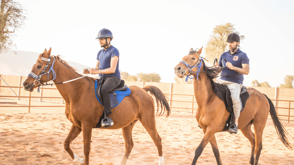 Horse Riding At Mleiha Arena - Sports Events Horse Riding At Mleiha Arena - Sports Events OmanMegaDeals.com