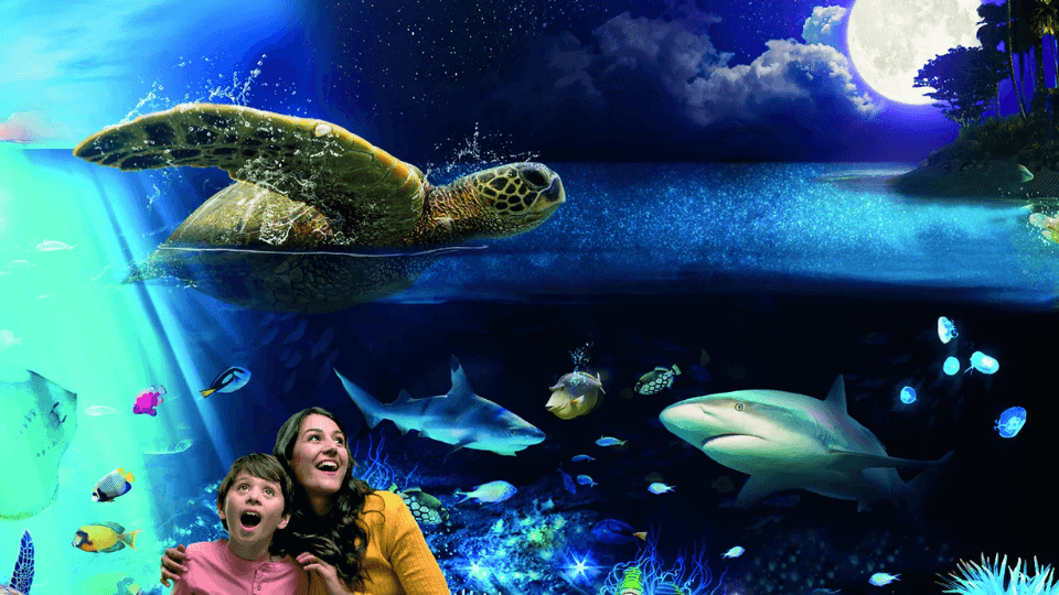 Sea Life Brighton - Experiences Sea Life Brighton - Experiences OmanMegaDeals.com
