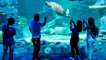 Aquarium de Paris: Entry Ticket – Indoor Attractions