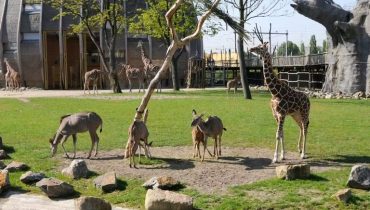 Blijdorp Rotterdam Zoo: Skip The Line Ticket – Indoor Attractions