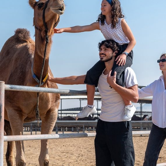 Buy Camelicious Farm And Factory Tour With Camel Milk Tasting Now at Special Price in OmanMegaDeals.com Camelicious Farm And Factory Tour With Camel Milk Tasting EXPERIENCES Shop Online at Special Price from Oman Mega Deals