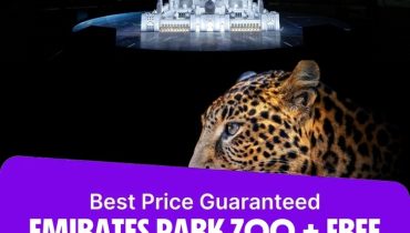 Emirates Park Zoo + Free Light and Peace museum – Combos and more adventures