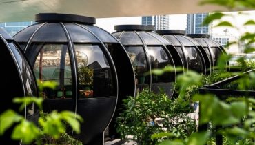 Exclusive 2-Course Festive Brunch – The Pods – Top-Rated Attractions