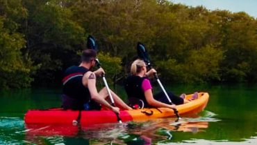 Mangroves Kayaking at Purple Island – Qool Qatar – Must-see attractions