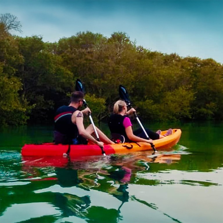 Mangroves Kayaking at Purple Island – Qool Qatar – Must-see attractions