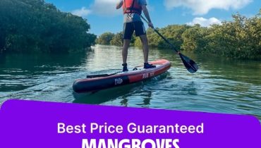 Mangroves paddleboarding at Purple Island – Qool Qatar – Must-see attractions