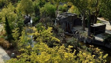 Paris Zoological Park: Entry Ticket – Experiences