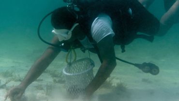 Pearl Diving – Water Sports