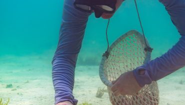 Pearl Snorkeling – Water Sports