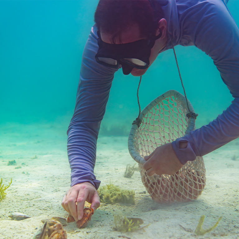 Pearl Snorkeling – Water Sports