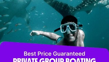 Private group Boating Experience with Dolphins Watching & Snorkeling – Sightseeing and Tours